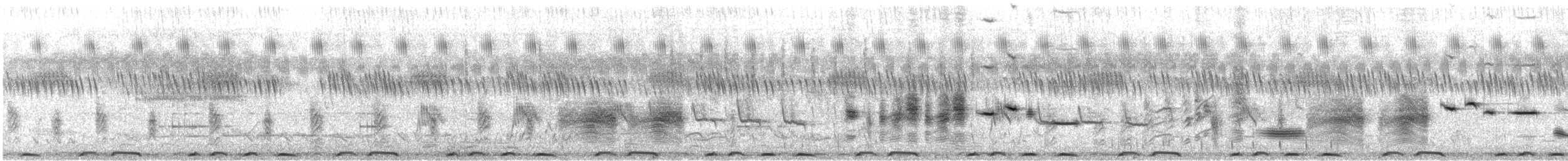 hvitvingepløsøye - ML631746270