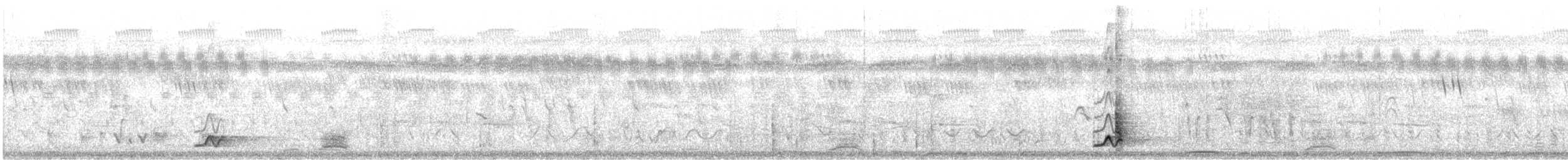 gulkronegonolek - ML631746272