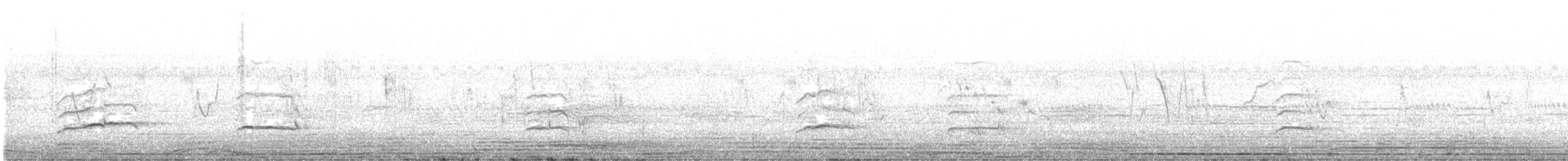 káně bělochvostá - ML631755135