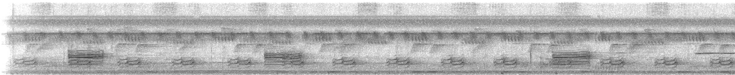 Yellow-browed Camaroptera - ML631761342