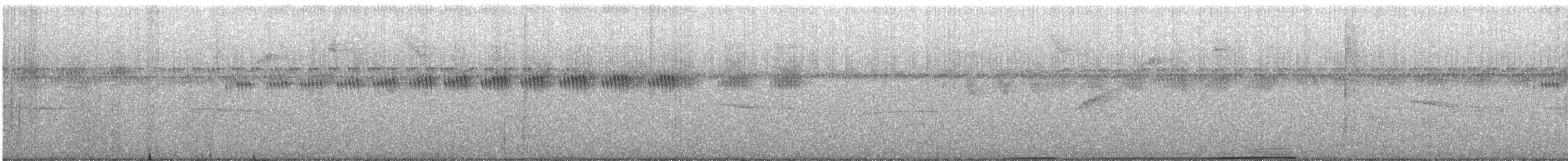 Hocco de Spix - ML631762874