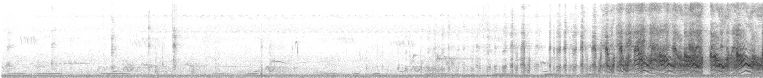 Blackcap Babbler - ML631764512