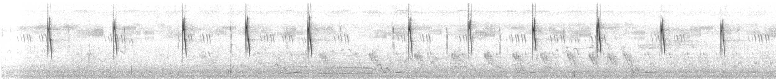 Pipit à dos uni - ML631764815