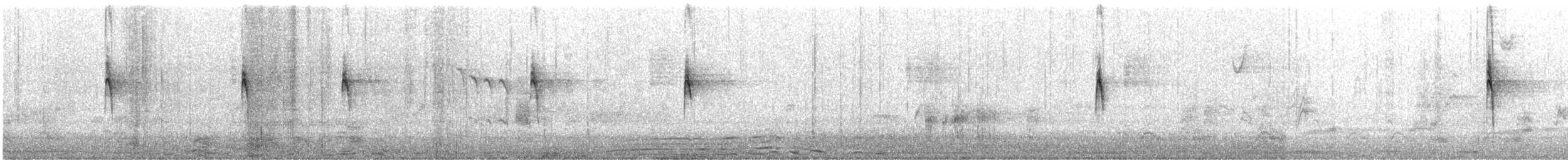 Song Sparrow - ML631766707