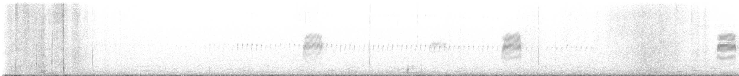 American Woodcock - ML631771296