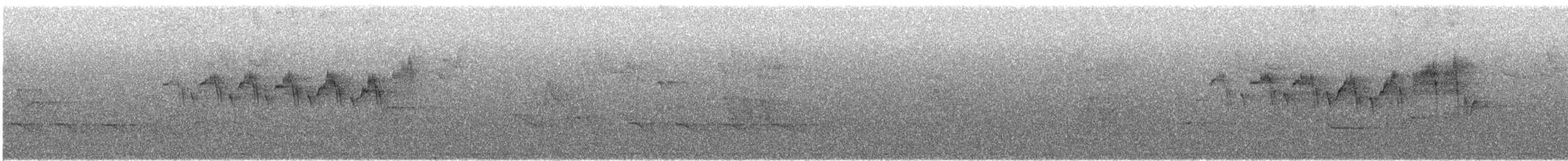 Northern Parula - ML631774010