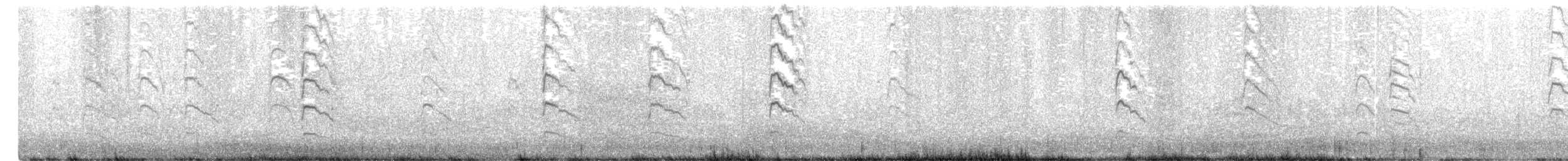 Black-fronted Tern - ML631775027