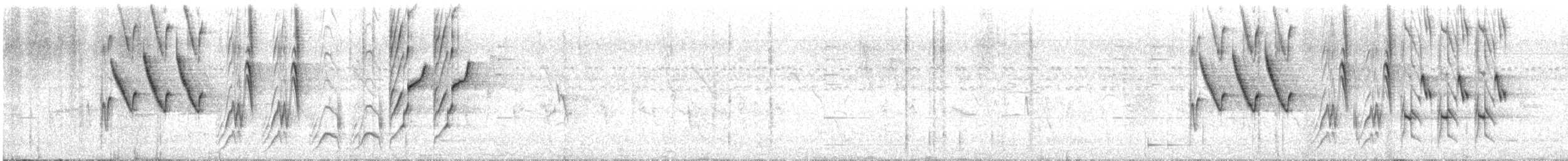 White-browed Wagtail - ML631797978
