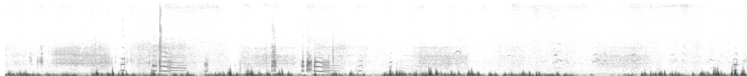 Coscoroba Swan - ML631804784