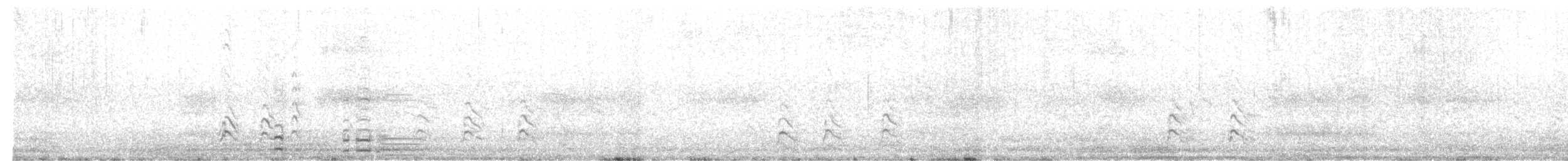 Coscoroba Swan - ML631804933