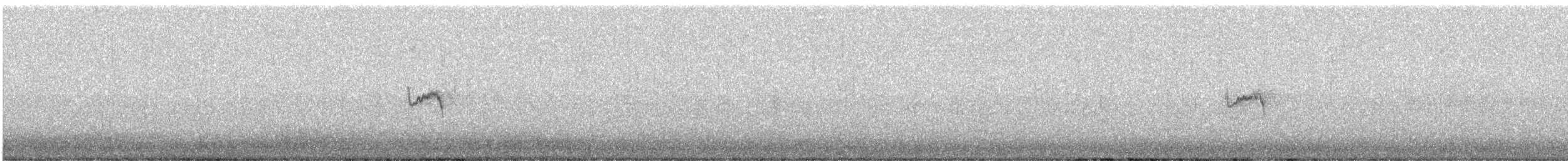 Brown-backed Chat-Tyrant - ML631806961