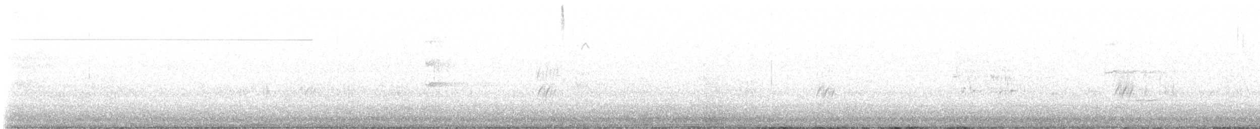 smalstripesvale - ML631807713