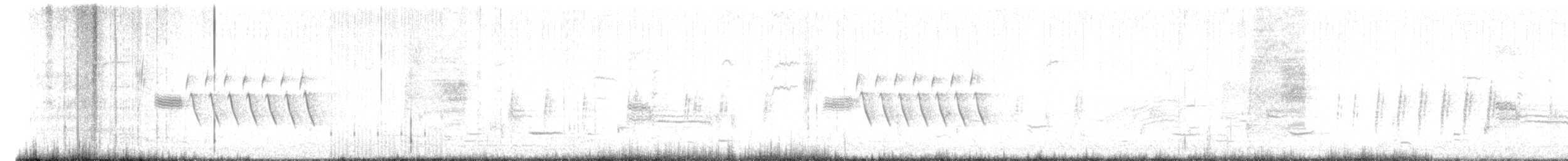 Bewick's Wren - ML631812117