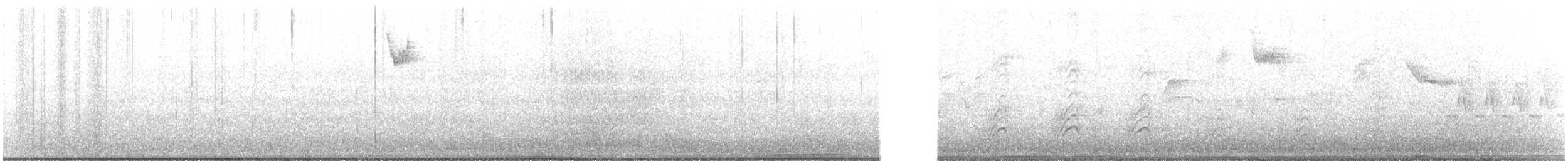 new world sparrow sp. - ML631823022