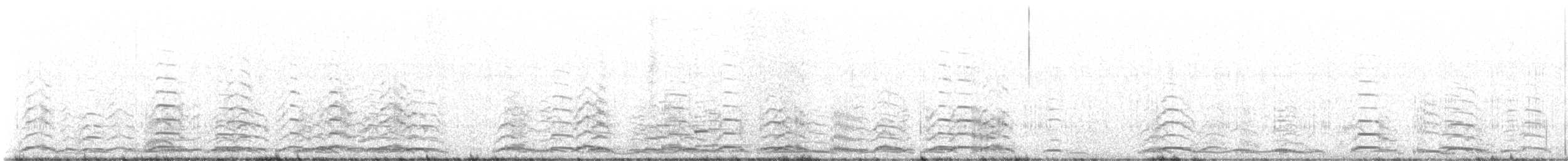 Zwergschwan (Pfeifschwan) - ML631828012