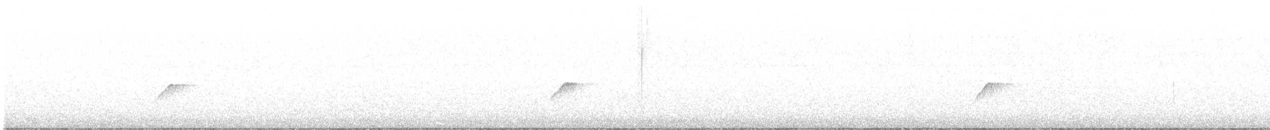 La Sagra's Flycatcher - ML631828880