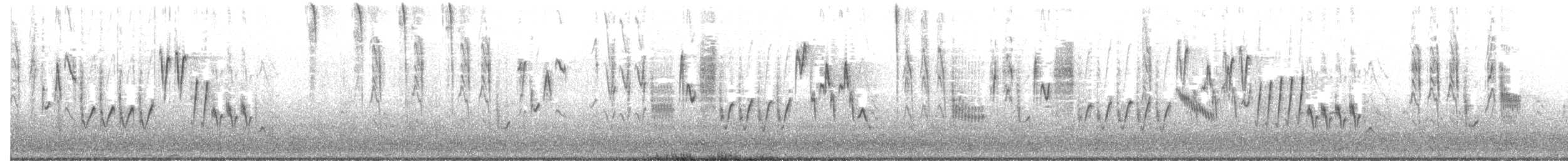 Northern House Wren - ML631831895