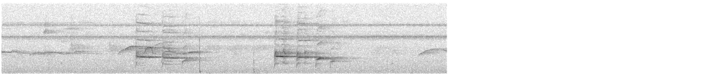 ヒメテンニョゲラ - ML631835347