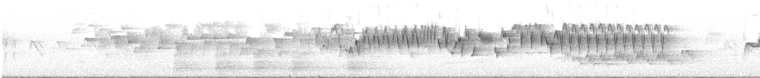 Pacific Wren - ML631836685