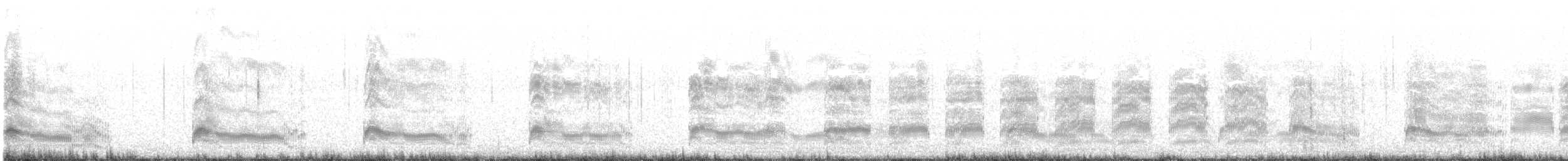 Bonaparte's Gull - ML631836763
