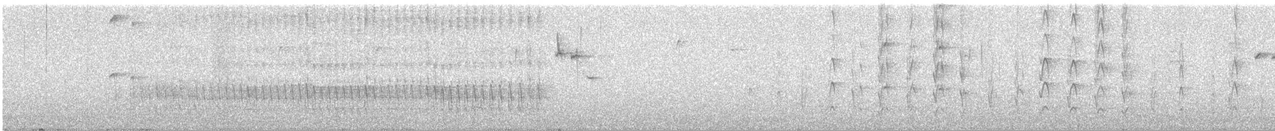 strakapoud americký - ML631852865