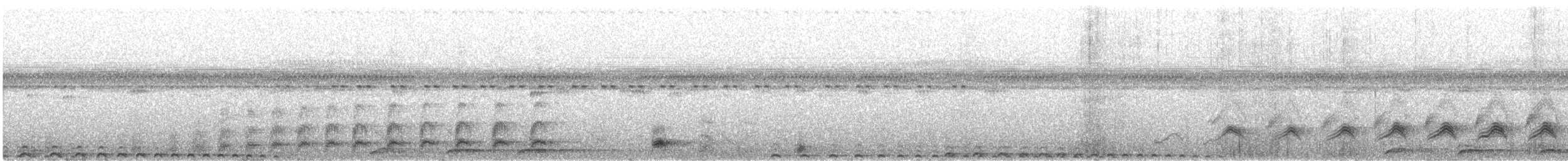 Cuban Nightjar - ML631861803