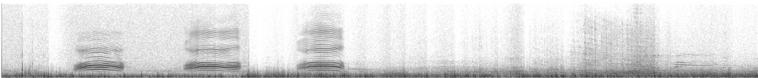 Cuban Palm-Crow - ML631866341