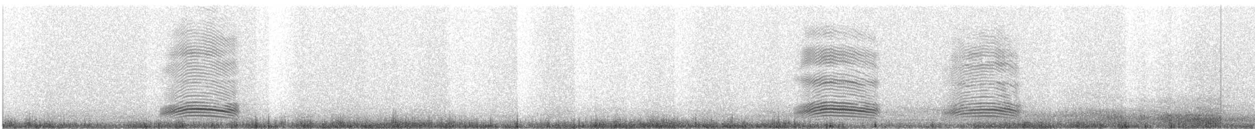 Cuban Palm-Crow - ML631866342