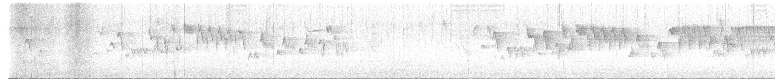 Pacific Wren - ML631868540