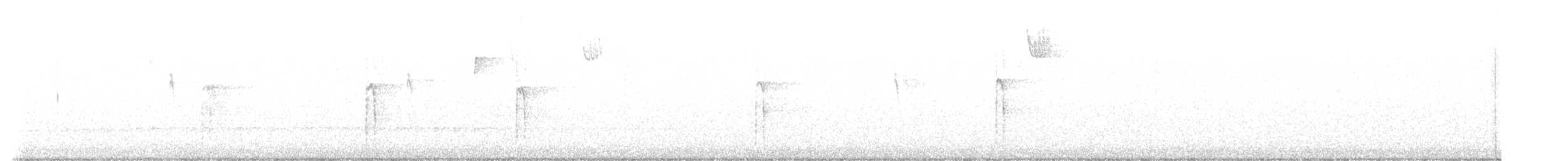 strakapoud americký - ML631874860