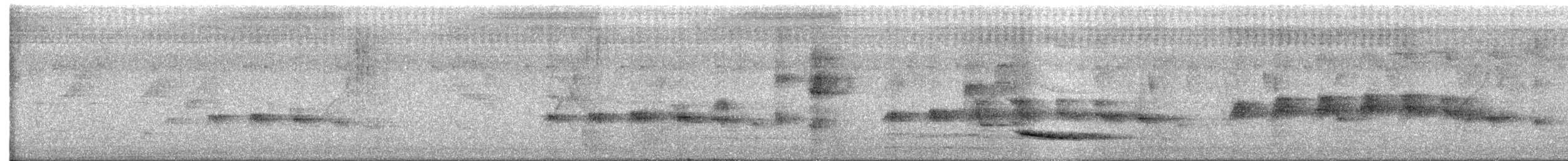 シロボシショウビン - ML631876839