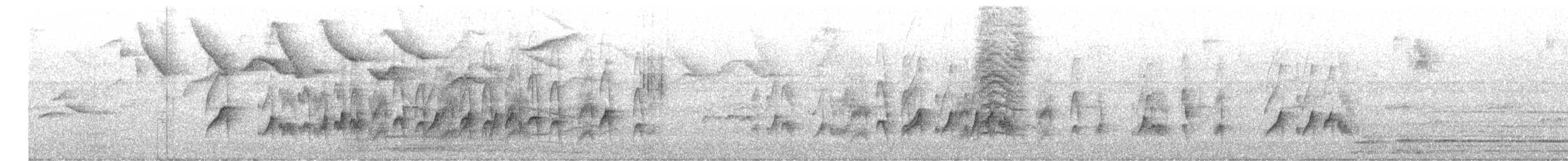 Rußkappen-Kleintyrann - ML631881124