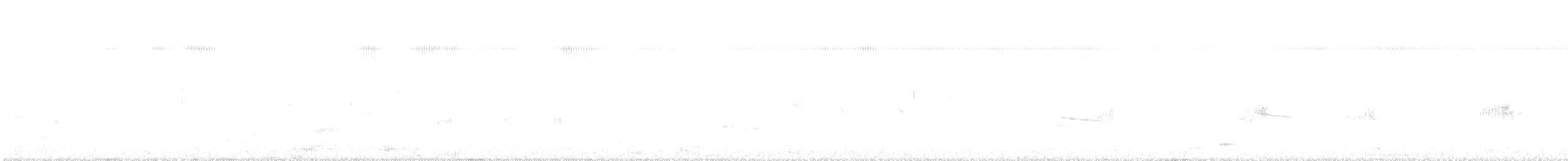 White-headed Marsh Tyrant - ML631881677