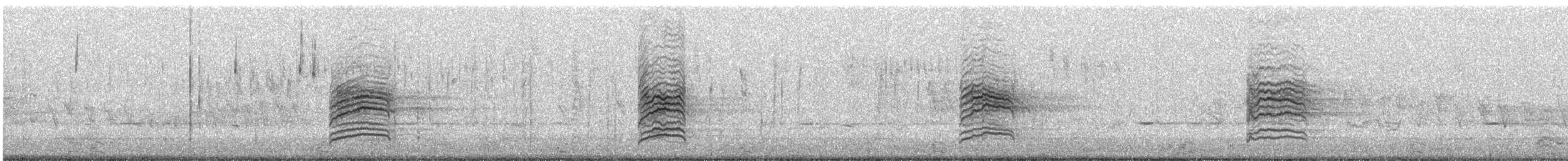 Hermit Thrush - ML631887328