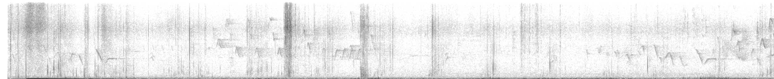 Northern House Wren - ML631887747