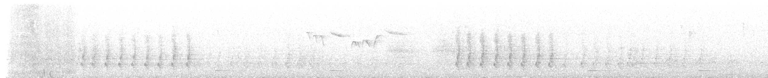 Northern Pygmy-Owl - ML631888180