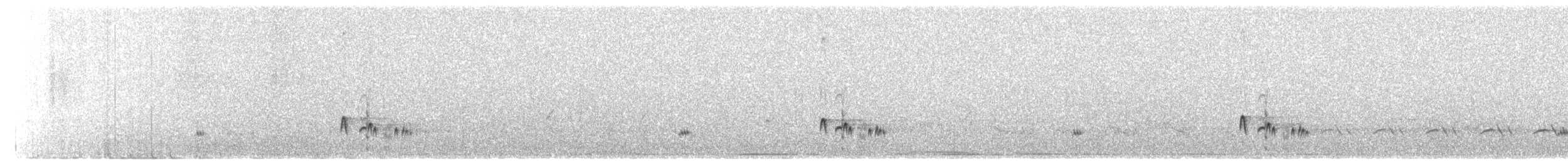 Ash-throated Flycatcher - ML631889589