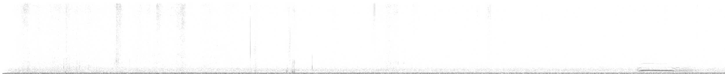 Barred Owl - ML631891811