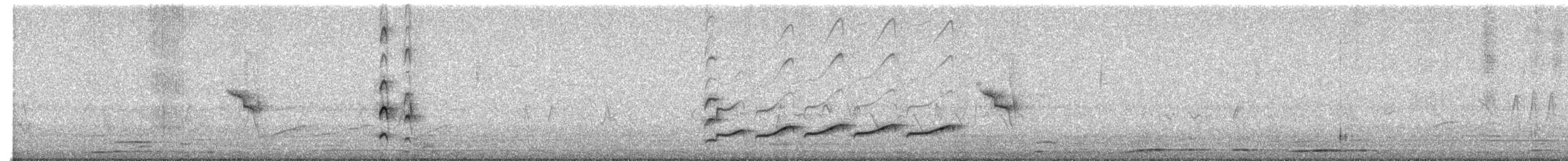 カギハシタイランチョウ - ML631895372