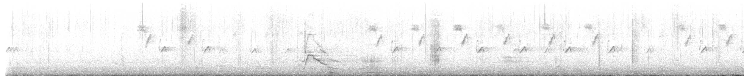 Eurasian Wigeon - ML631899950