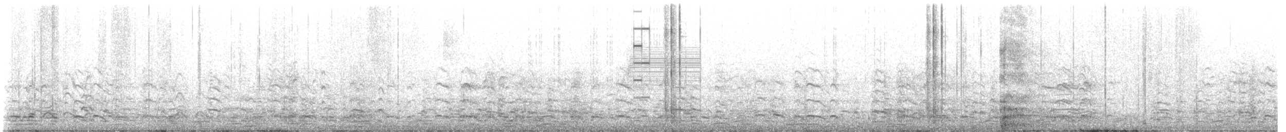 Greater White-fronted Goose - ML631900999