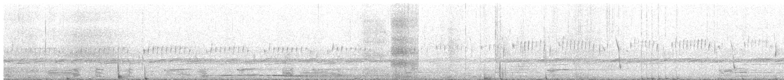 Kanadaschnepfe - ML631907511