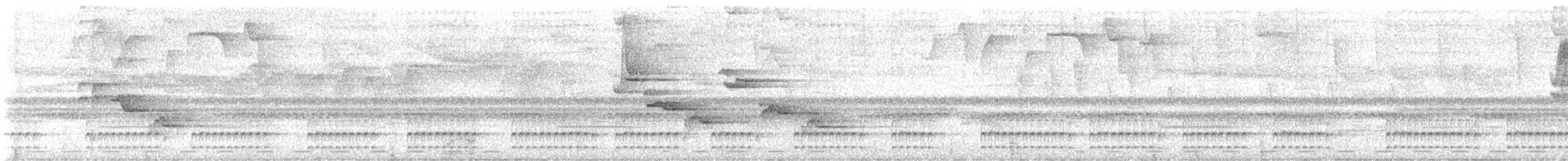Tatama Tapaculo - ML631914281