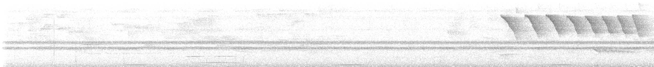 White-throated Quail-Dove - ML631914301