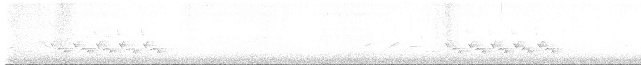 Carolina Wren - ML631914667