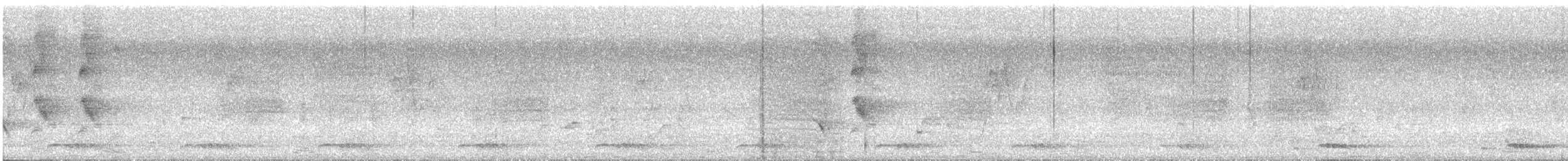 Square-tailed Bulbul - ML631914859
