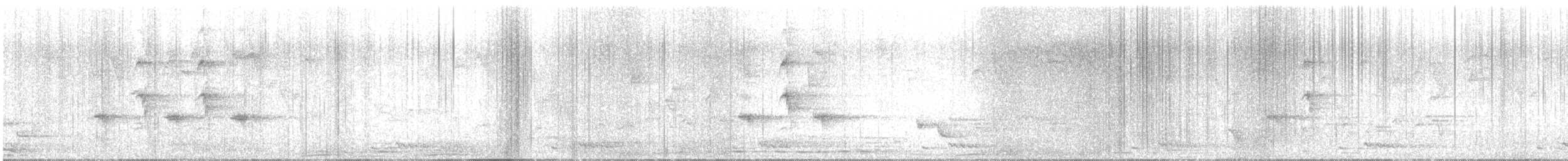 Square-tailed Bulbul - ML631914861