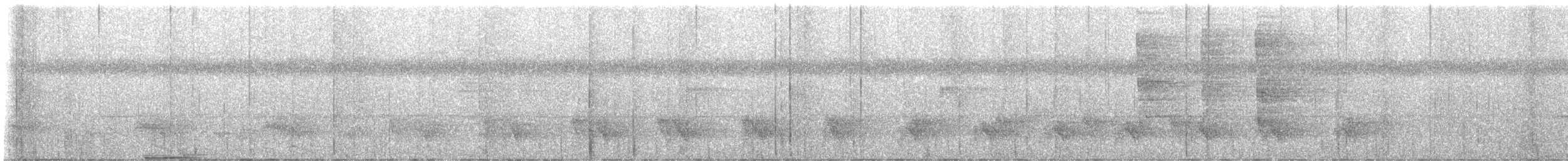 Gray Antbird - ML631916928
