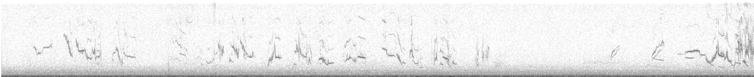 Western Meadowlark - ML631921532