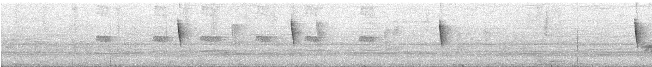 Bay-breasted Warbler - ML631922840
